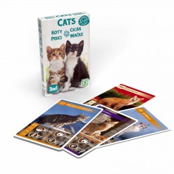 Set 3 jocuri cu carti intr-un singur pachet - Tema Pisici